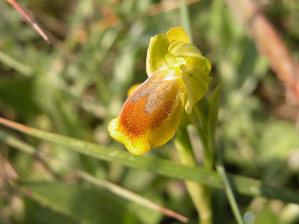 Mi sapete dire cos''�?